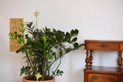 Impressionen-aus-der-Reiki-Lounge-in-Villach